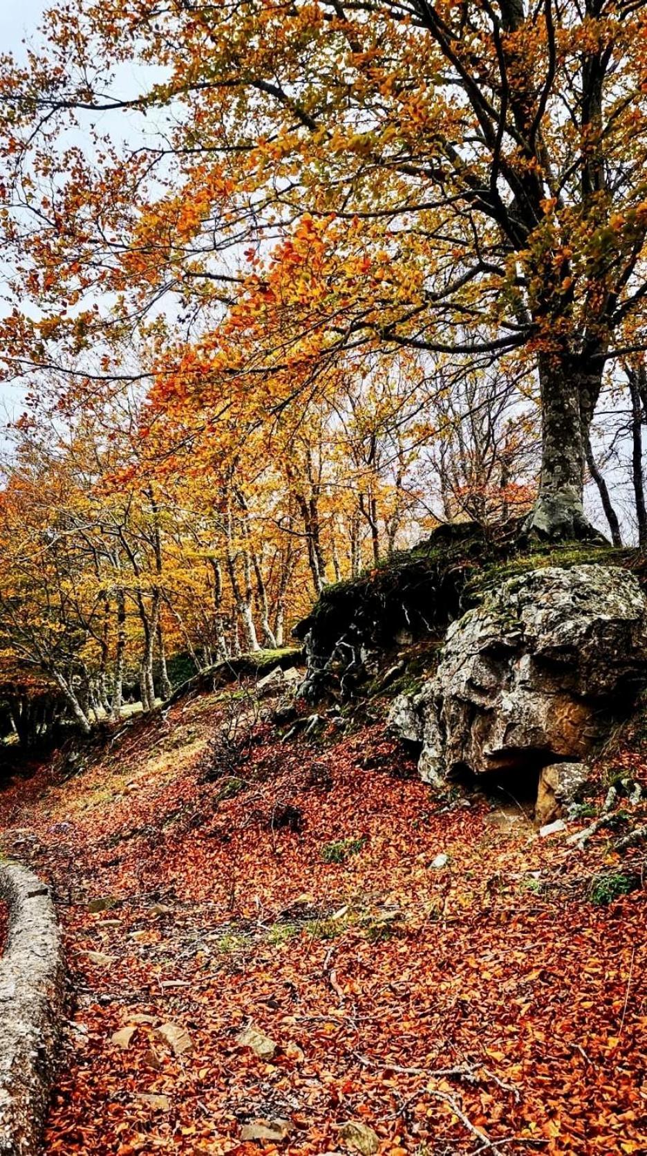 Nebris - Rifugio Del Parco San Fratello Exterior foto